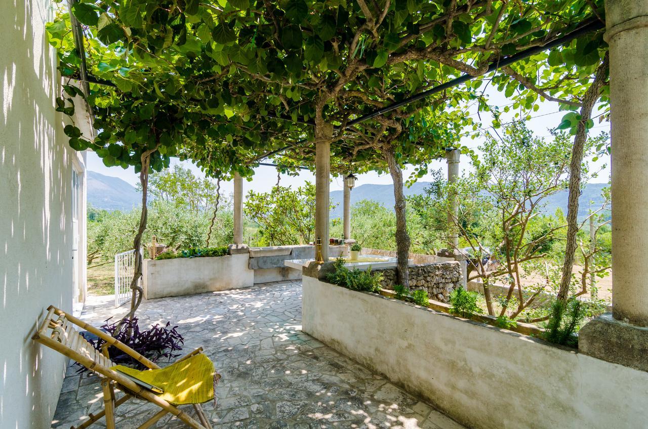 Holiday Home Field Of Olives Gruda Exterior foto