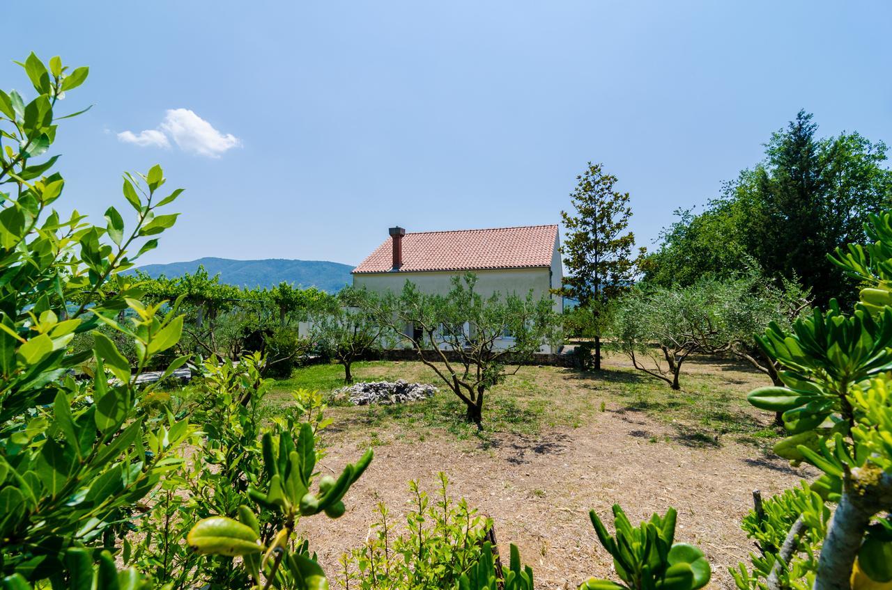 Holiday Home Field Of Olives Gruda Exterior foto